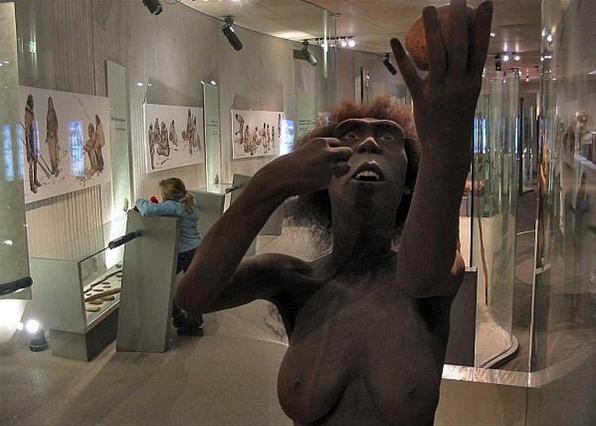 Homo Sapiens выжили благодаря неандертальцам